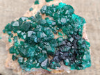 Natural Dioptase On Dolomite Specimens x 3 From Likasi, Congo - Toprock Gemstones and Minerals 