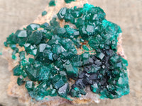 Natural Dioptase On Dolomite Specimens x 3 From Likasi, Congo