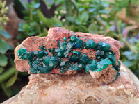 Natural Dioptase On Dolomite Specimens x 3 From Likasi, Congo