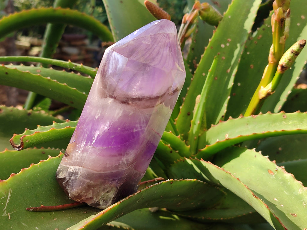 Polished Chevron Amethyst Points x 2 from Ankazobe, Madagascar - Toprock Gemstones and Minerals 