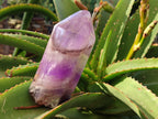 Polished Chevron Amethyst Points x 2 from Ankazobe, Madagascar - Toprock Gemstones and Minerals 