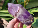 Polished Chevron Amethyst Points x 2 from Ankazobe, Madagascar - Toprock Gemstones and Minerals 