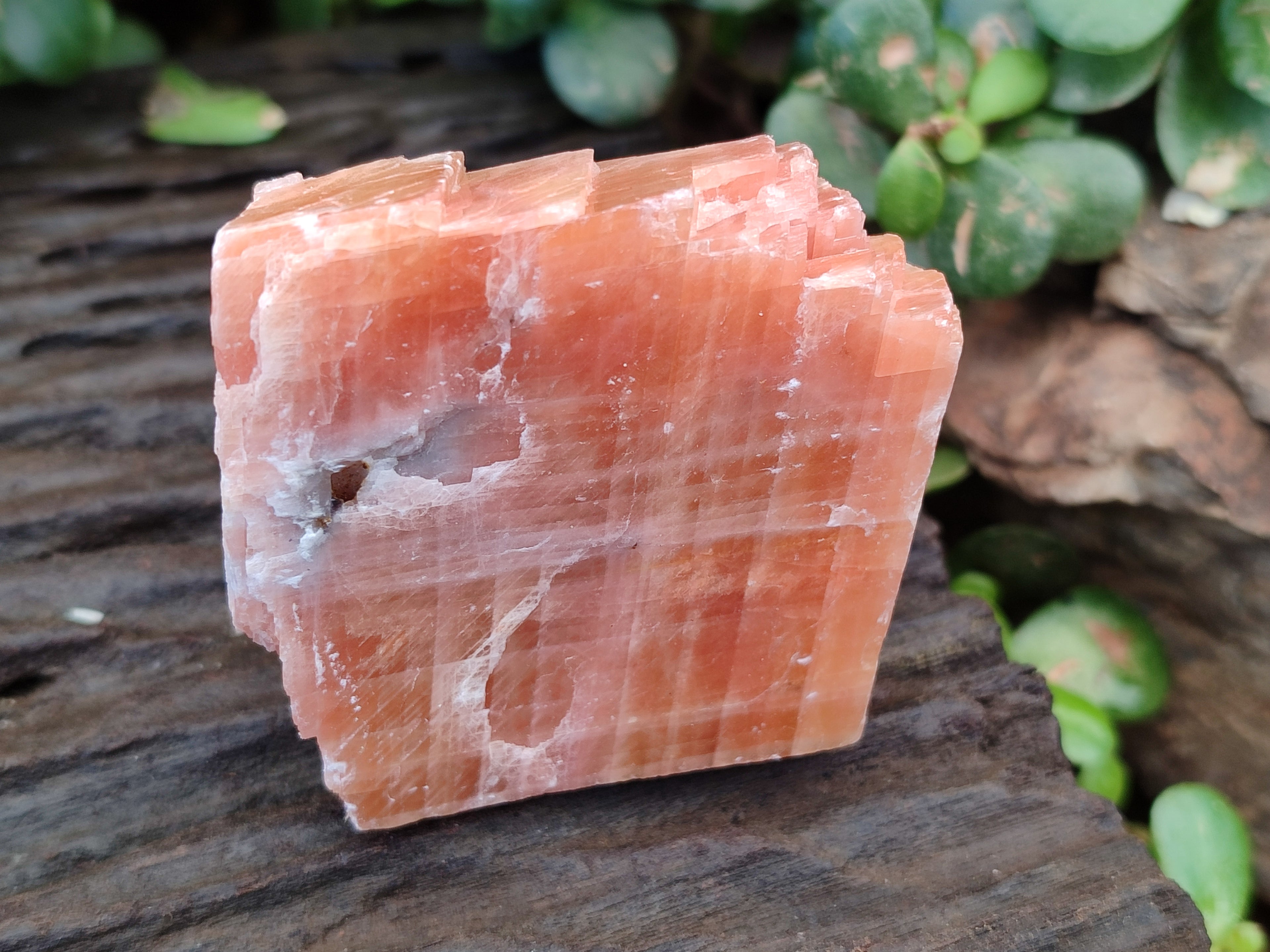 Natural Rhombohedral Sunset Orange Calcite Specimens x 12 From Spitzkop, Namibia - Toprock Gemstones and Minerals 