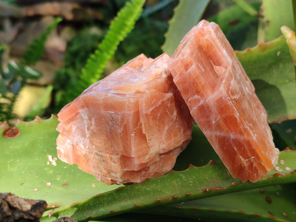 Natural Rhombohedral Sunset Orange Calcite Specimens x 12 From Spitzkop, Namibia - Toprock Gemstones and Minerals 