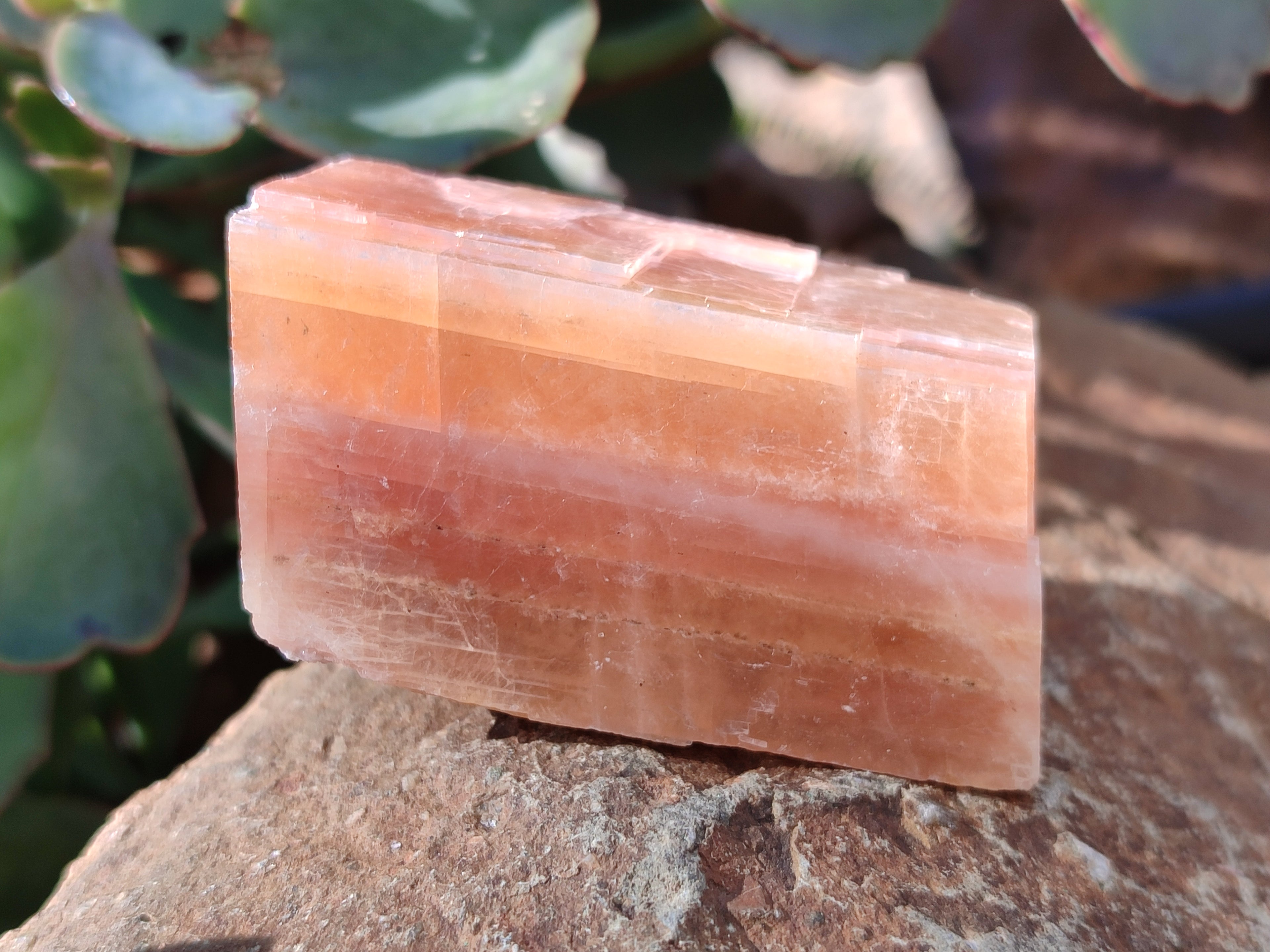 Natural Rhombohedral Sunset Orange Calcite Specimens x 12 From Spitzkop, Namibia - Toprock Gemstones and Minerals 