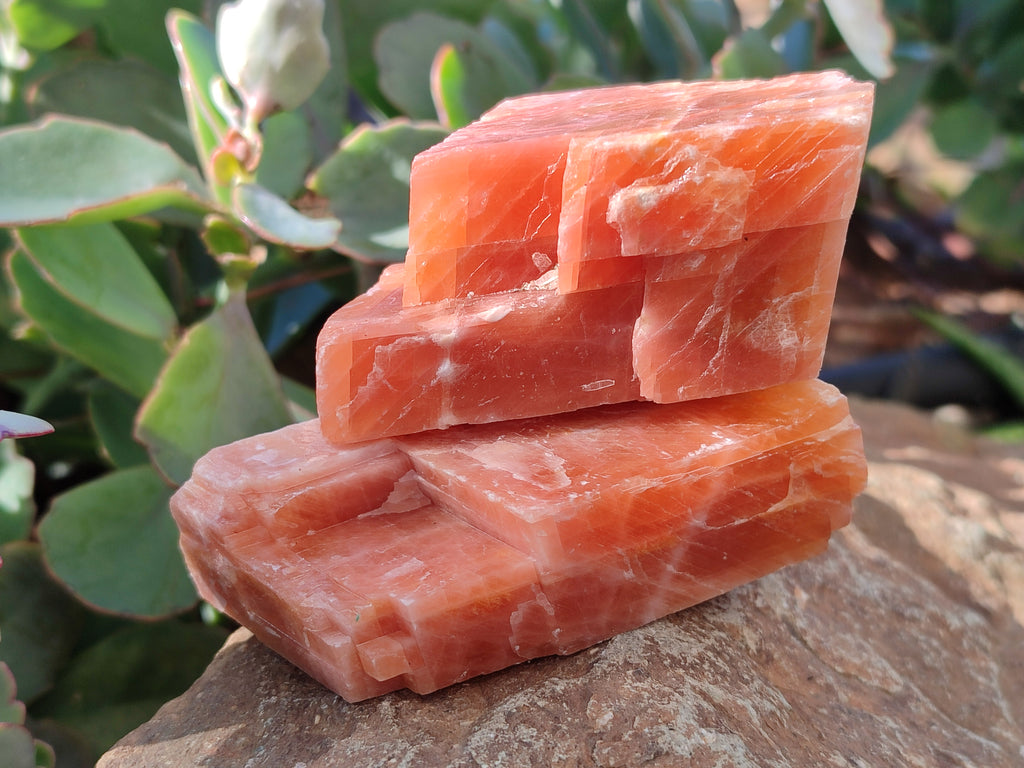 Natural Rhombohedral Sunset Orange Calcite Specimens x 12 From Spitzkop, Namibia - Toprock Gemstones and Minerals 
