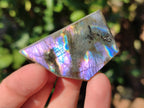 Polished On One Side Labradorite Plates x 35 From Tulear, Madagascar - Toprock Gemstones and Minerals 
