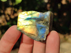 Polished On One Side Labradorite Plates x 35 From Tulear, Madagascar - Toprock Gemstones and Minerals 