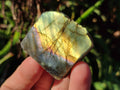 Polished On One Side Labradorite Plates x 35 From Tulear, Madagascar - Toprock Gemstones and Minerals 