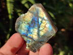 Polished On One Side Labradorite Plates x 35 From Tulear, Madagascar - Toprock Gemstones and Minerals 
