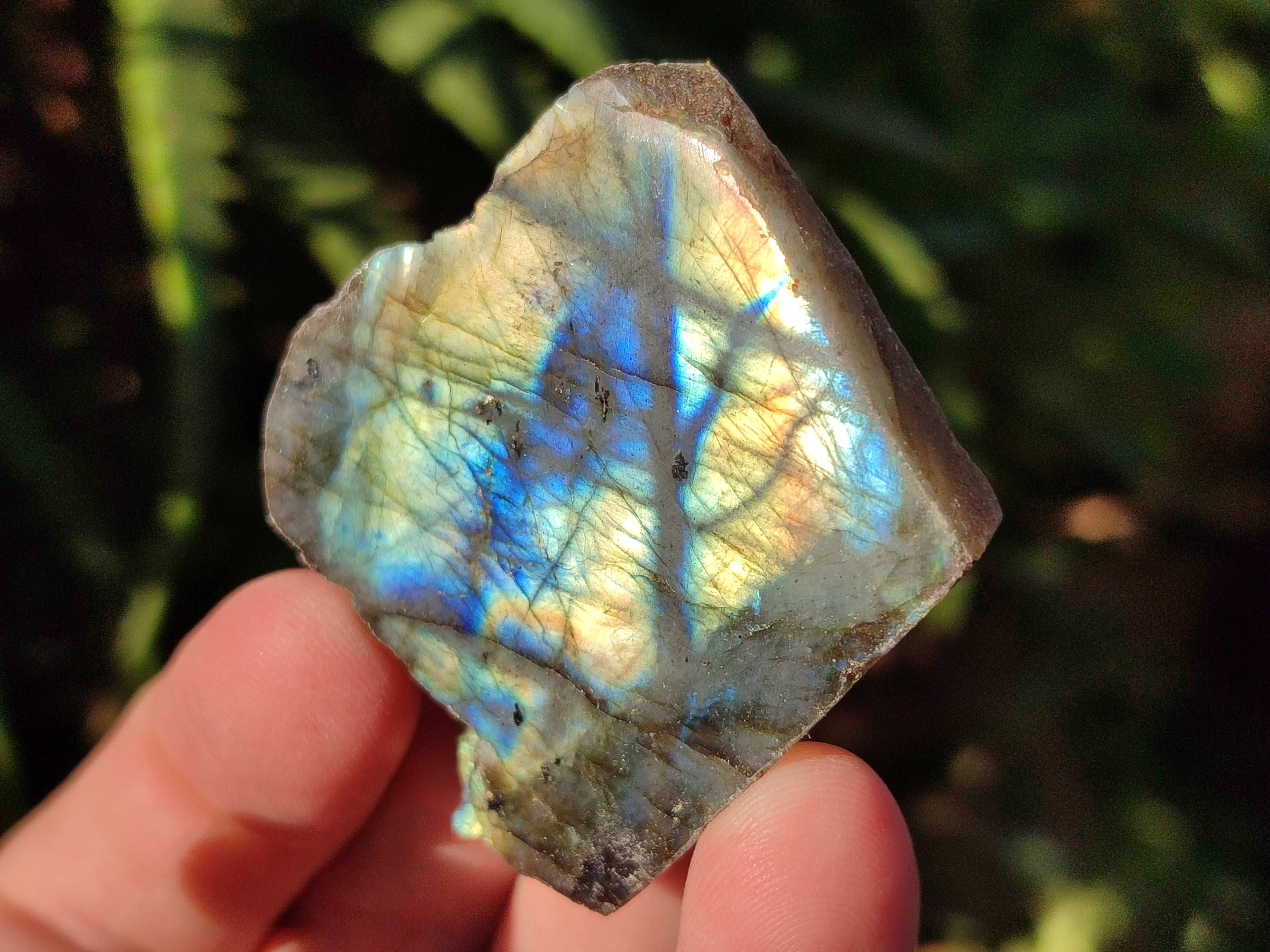 Polished On One Side Labradorite Plates x 35 From Tulear, Madagascar - Toprock Gemstones and Minerals 