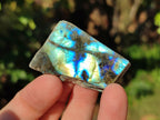 Polished On One Side Labradorite Plates x 35 From Tulear, Madagascar - Toprock Gemstones and Minerals 