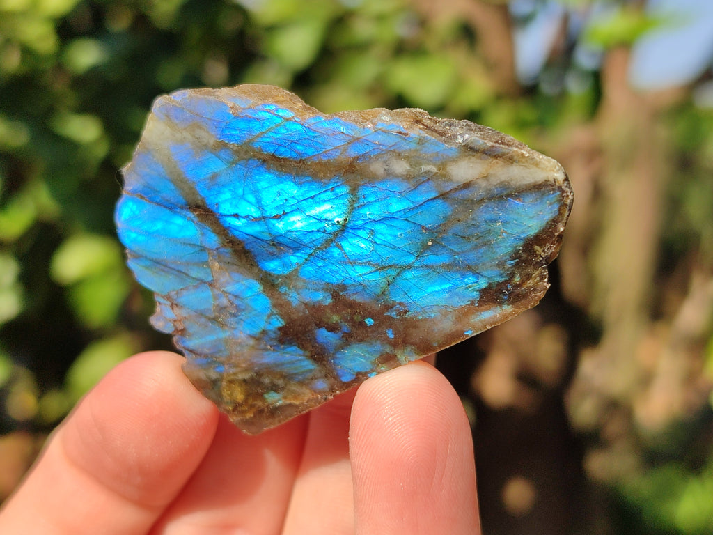 Polished On One Side Labradorite Plates x 35 From Tulear, Madagascar - Toprock Gemstones and Minerals 