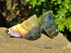 Polished On One Side Labradorite Plates x 35 From Tulear, Madagascar - Toprock Gemstones and Minerals 