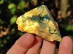 Polished On One Side Labradorite Plates x 35 From Tulear, Madagascar - Toprock Gemstones and Minerals 