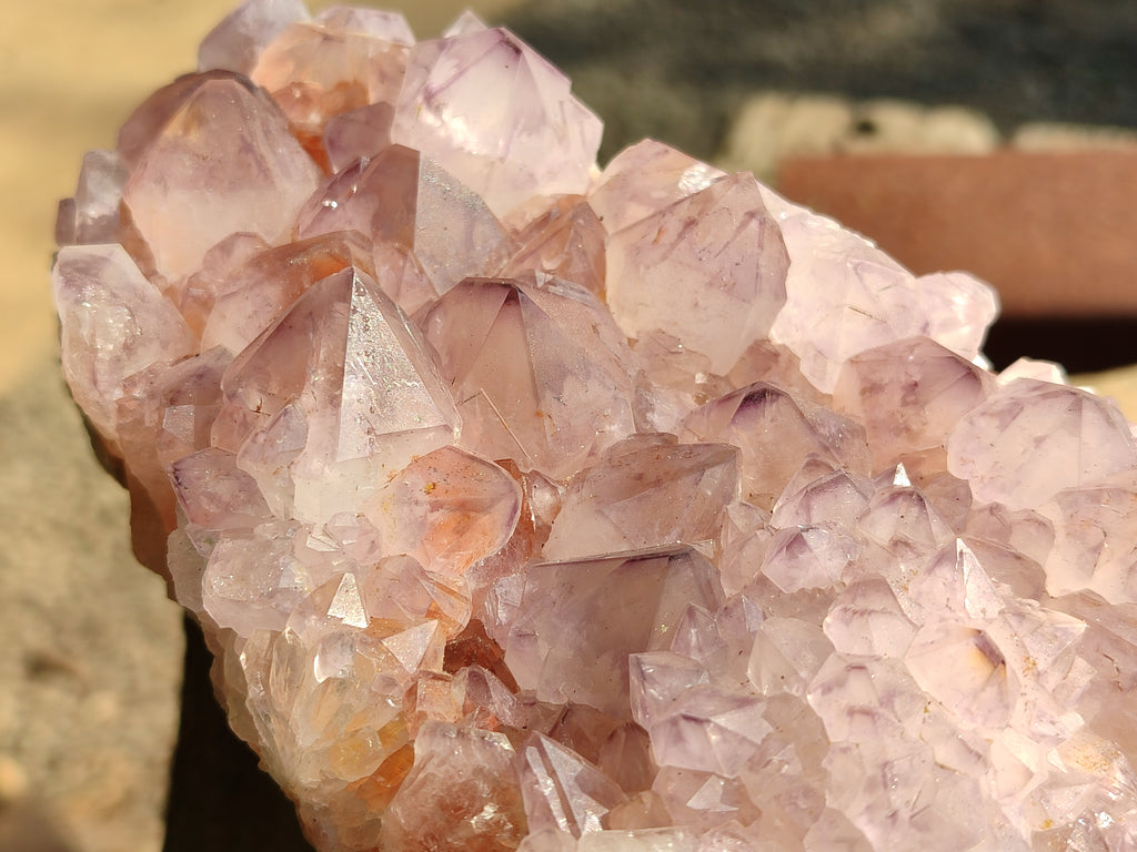 Natural Cactus Flower Amethyst Spirit Quartz Cluster x 1 From South Africa - Toprock Gemstones and Minerals 