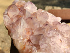 Natural Cactus Flower Amethyst Spirit Quartz Cluster x 1 From South Africa - Toprock Gemstones and Minerals 
