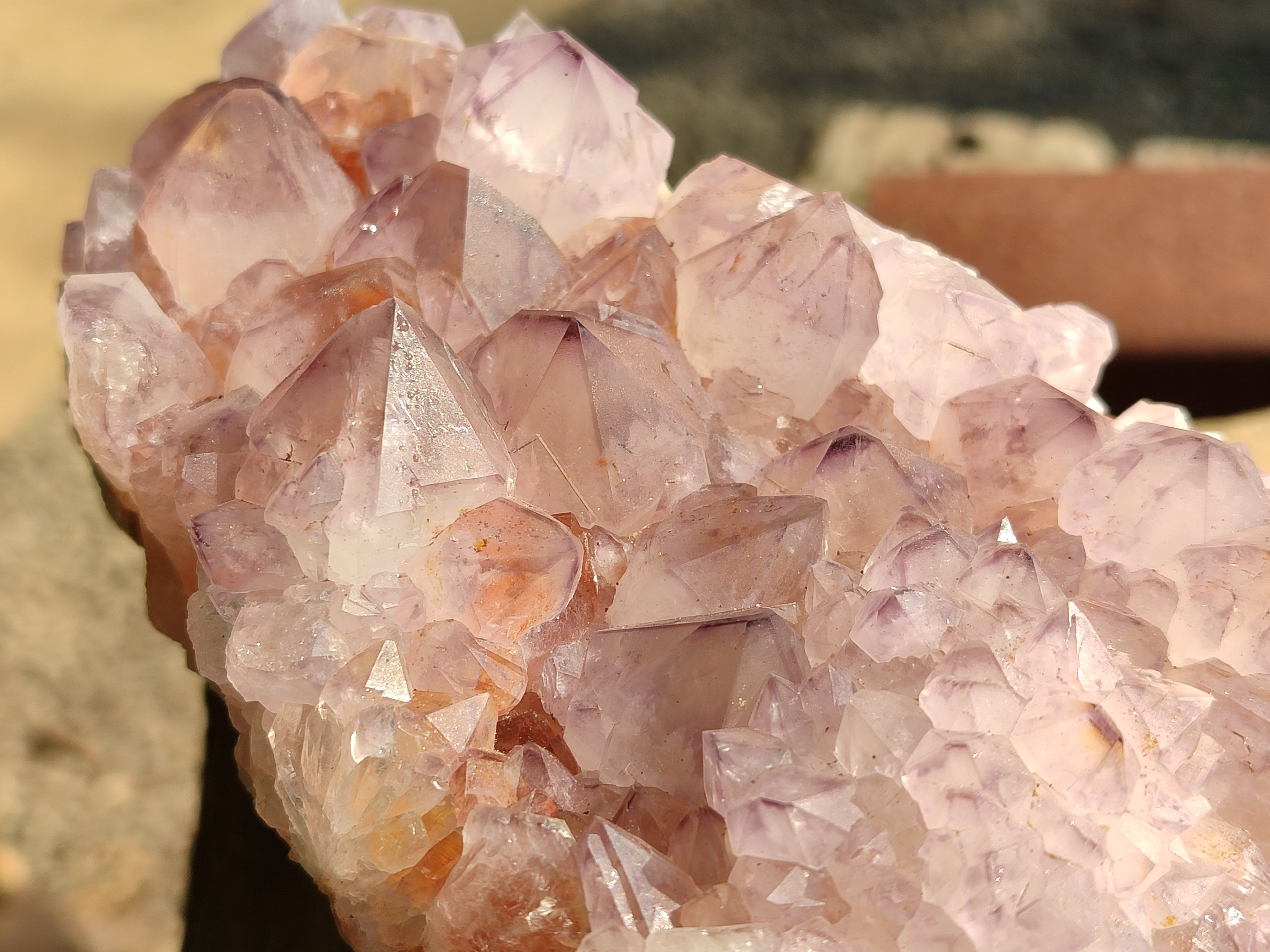 Natural Cactus Flower Amethyst Spirit Quartz Cluster x 1 From South Africa - Toprock Gemstones and Minerals 