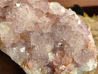 Natural Cactus Flower Amethyst Spirit Quartz Cluster x 1 From South Africa - Toprock Gemstones and Minerals 