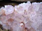 Natural Cactus Flower Amethyst Spirit Quartz Cluster x 1 From South Africa - Toprock Gemstones and Minerals 