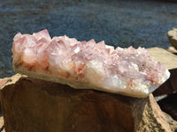 Natural Cactus Flower Amethyst Spirit Quartz Cluster x 1 From South Africa - Toprock Gemstones and Minerals 