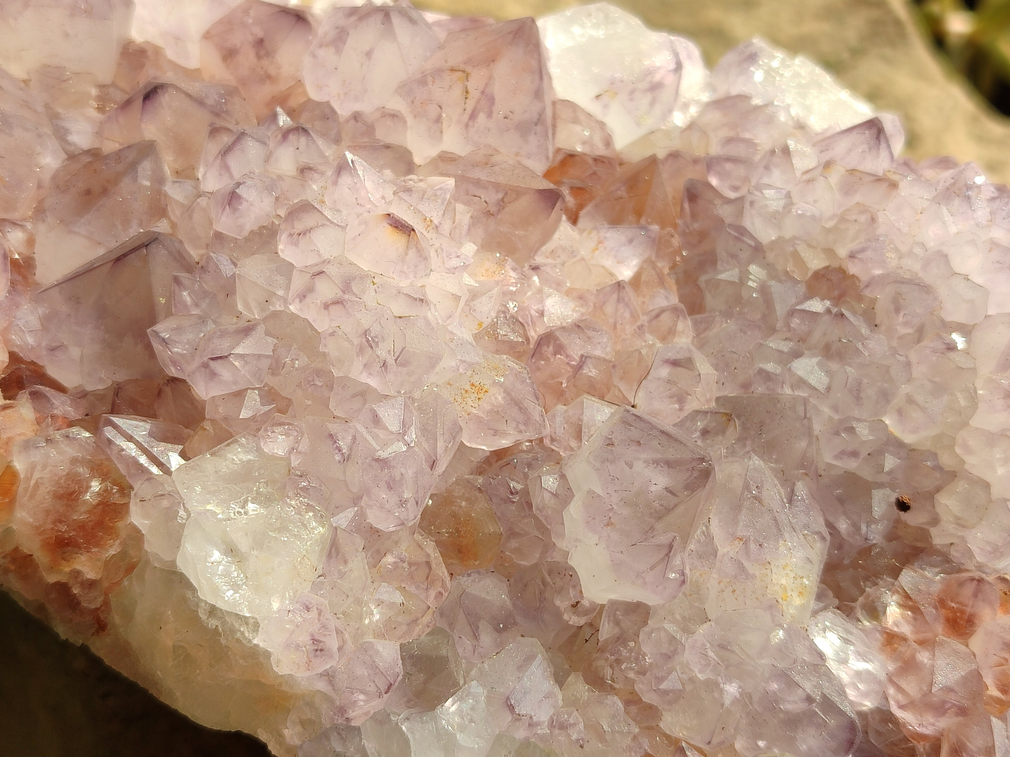 Natural Cactus Flower Amethyst Spirit Quartz Cluster x 1 From South Africa - Toprock Gemstones and Minerals 
