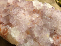 Natural Cactus Flower Amethyst Spirit Quartz Cluster x 1 From South Africa - Toprock Gemstones and Minerals 