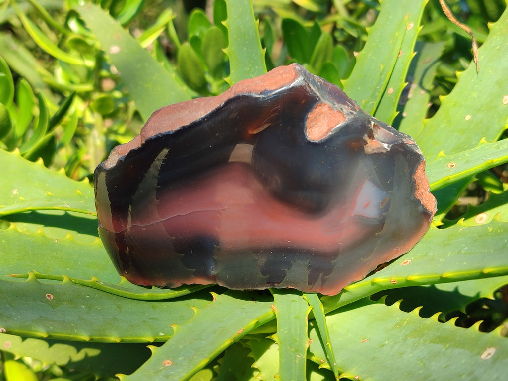 Polished On One Side Red Sashe River Agate Nodules x 6 From Zimbabwe - Toprock Gemstones and Minerals 