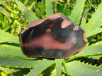 Polished On One Side Red Sashe River Agate Nodules x 6 From Zimbabwe - Toprock Gemstones and Minerals 