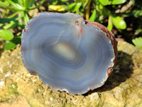 Polished On One Side Red Sashe River Agate Nodules x 6 From Zimbabwe - Toprock Gemstones and Minerals 