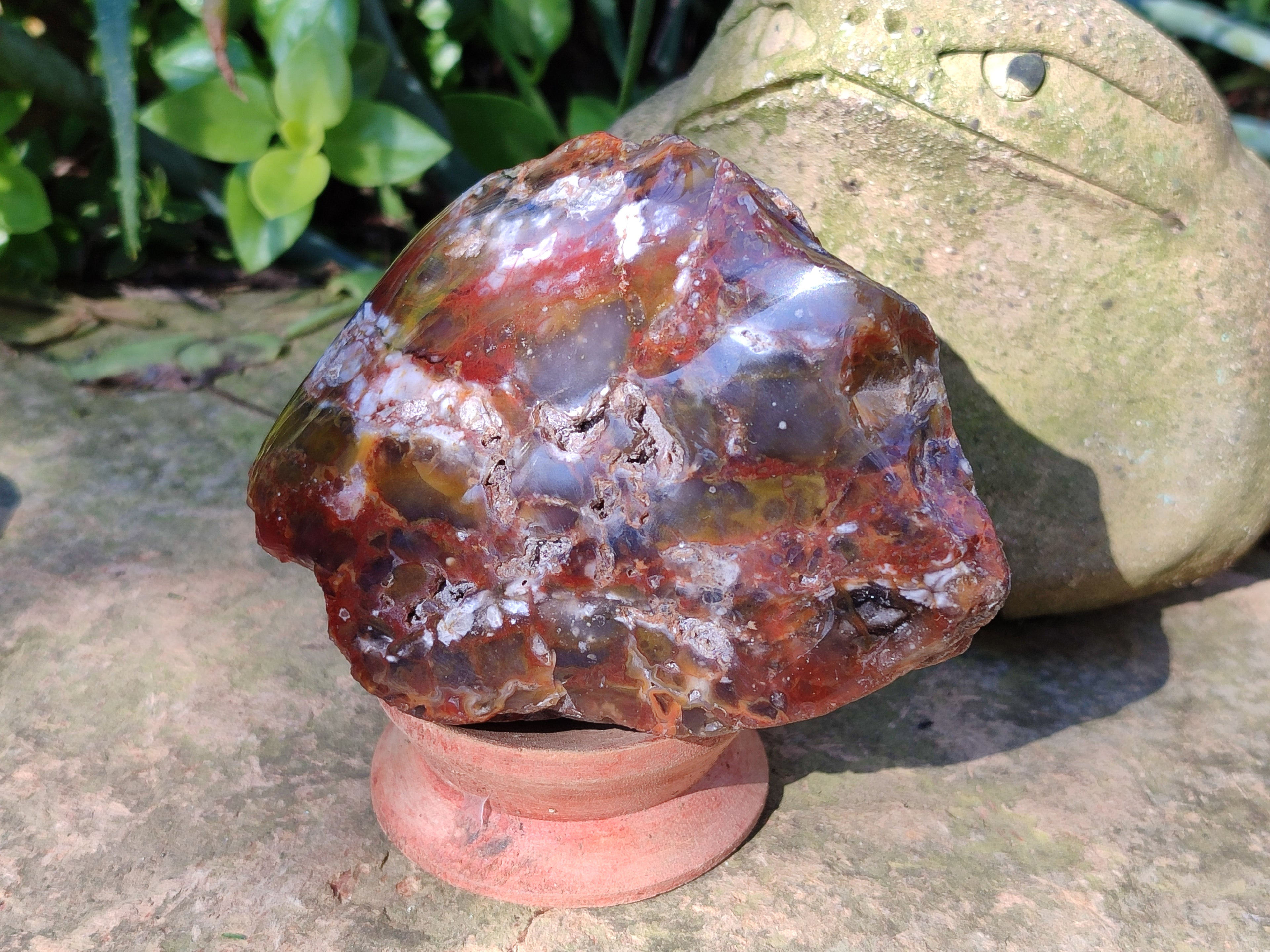 Polished On One Side Red Sashe River Agate Nodules x 6 From Zimbabwe - Toprock Gemstones and Minerals 