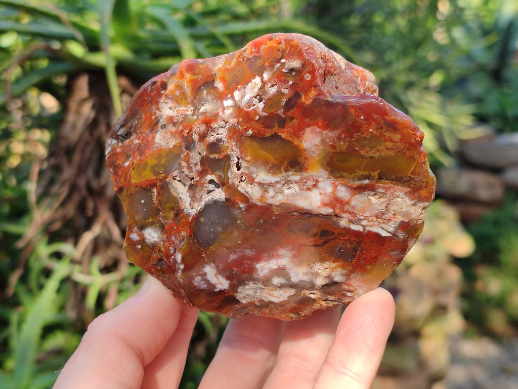 Polished On One Side Red Sashe River Agate Nodules x 6 From Zimbabwe - Toprock Gemstones and Minerals 