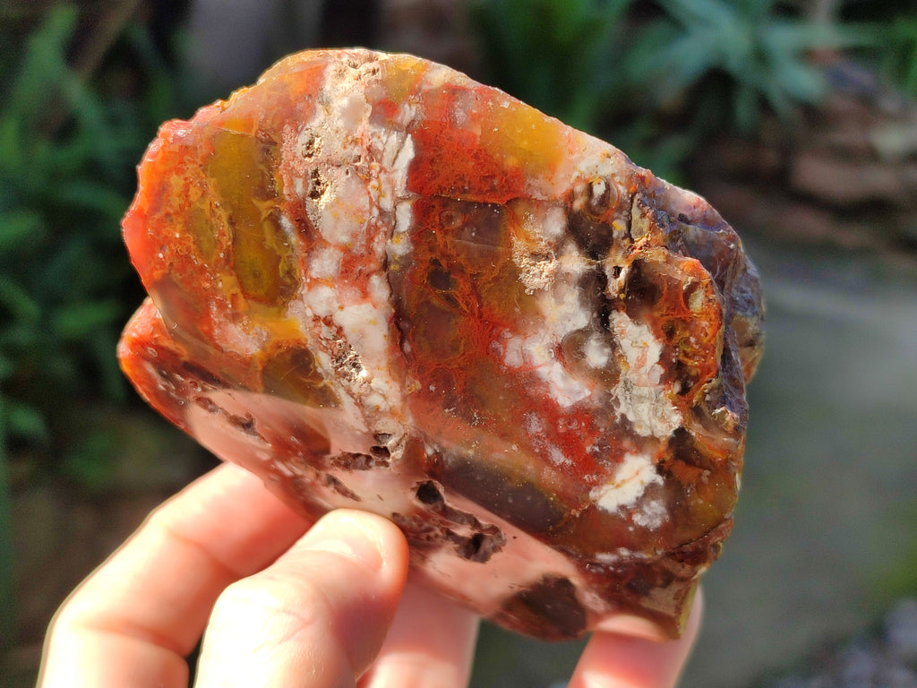 Polished On One Side Red Sashe River Agate Nodules x 6 From Zimbabwe - Toprock Gemstones and Minerals 