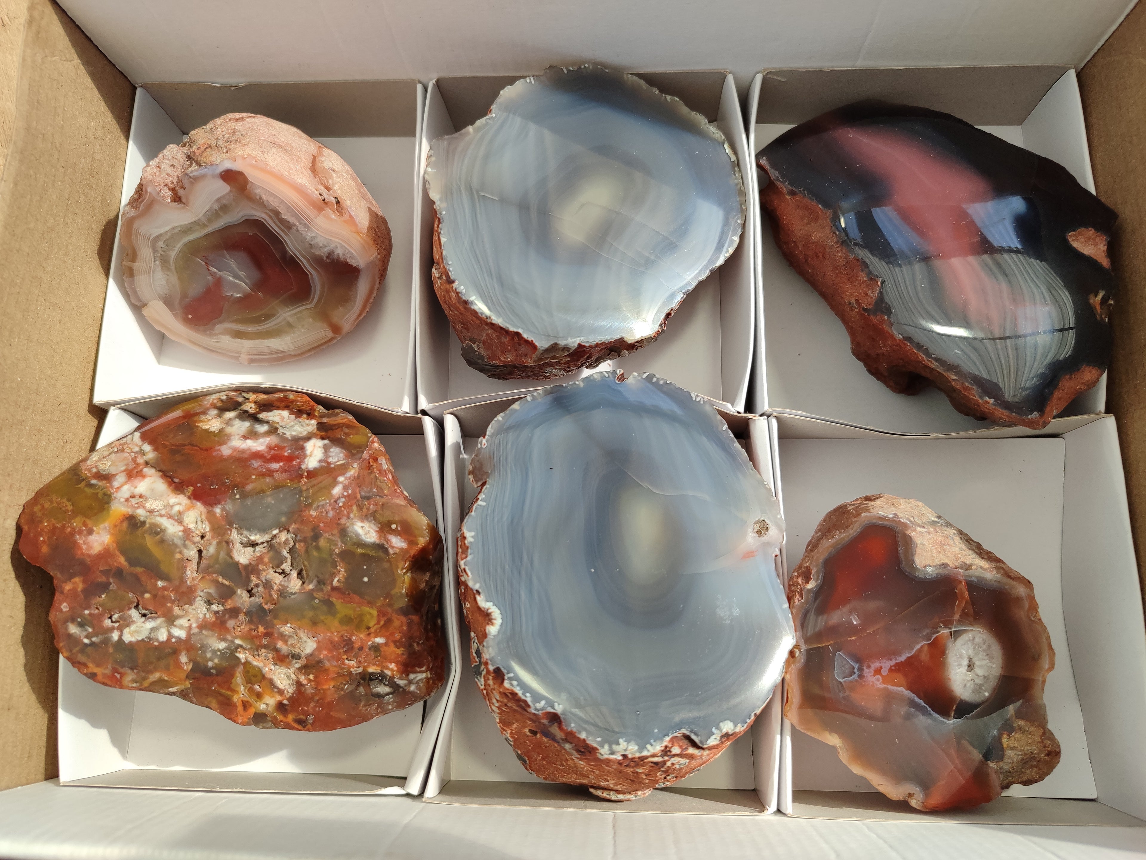 Polished On One Side Red Sashe River Agate Nodules x 6 From Zimbabwe - Toprock Gemstones and Minerals 