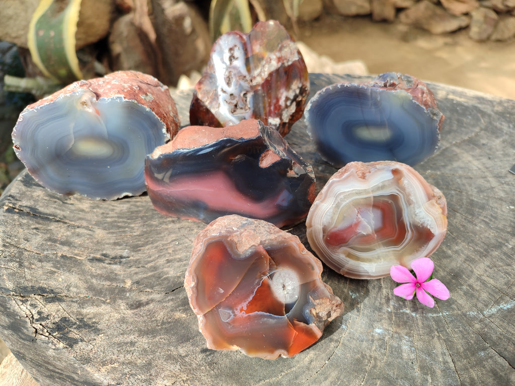 Polished On One Side Red Sashe River Agate Nodules x 6 From Zimbabwe - Toprock Gemstones and Minerals 