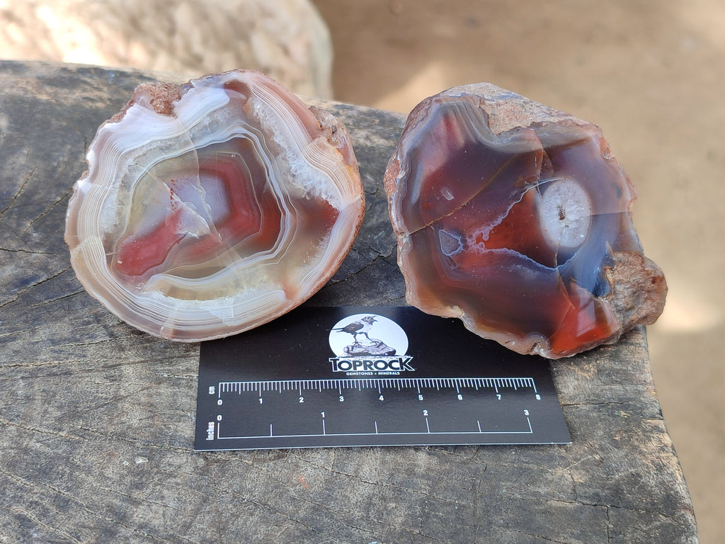Polished On One Side Red Sashe River Agate Nodules x 6 From Zimbabwe - Toprock Gemstones and Minerals 