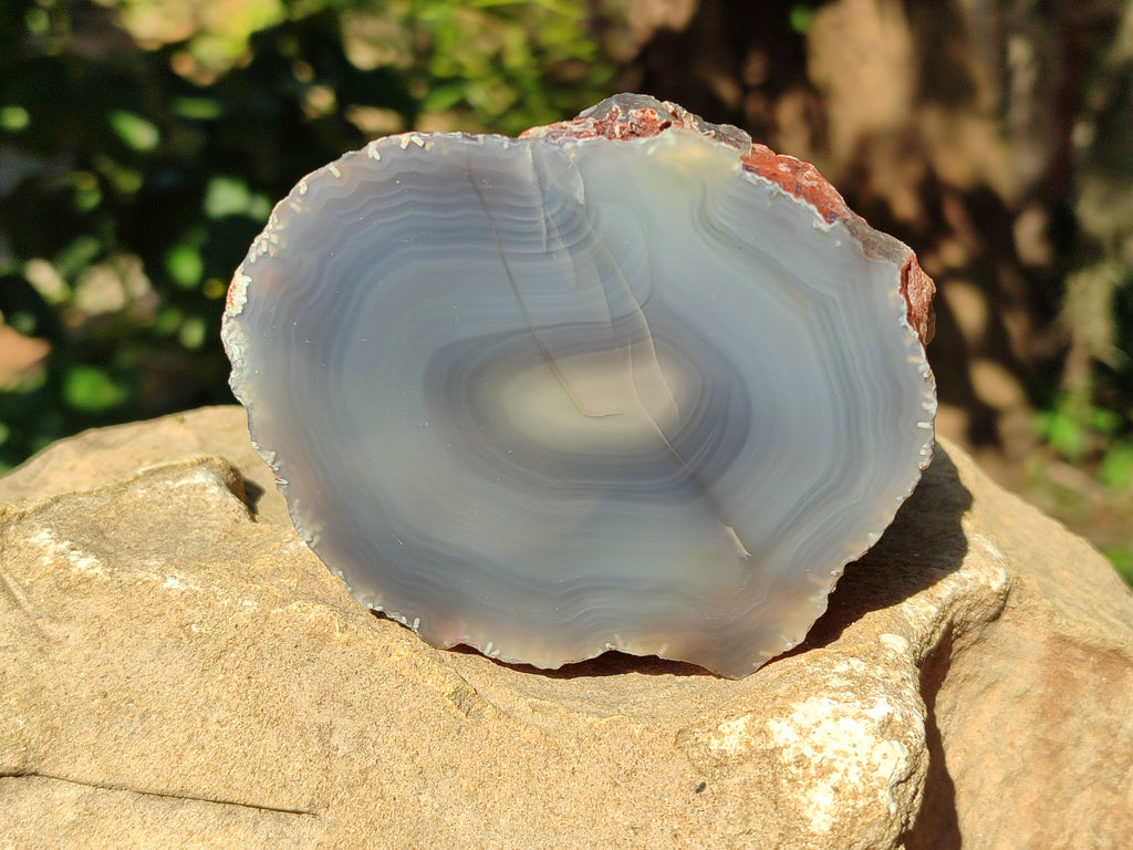 Polished On One Side Red Sashe River Agate Nodules x 6 From Zimbabwe - Toprock Gemstones and Minerals 