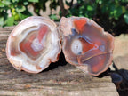 Polished On One Side Red Sashe River Agate Nodules x 6 From Zimbabwe - Toprock Gemstones and Minerals 