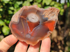 Polished On One Side Red Sashe River Agate Nodules x 6 From Zimbabwe - Toprock Gemstones and Minerals 