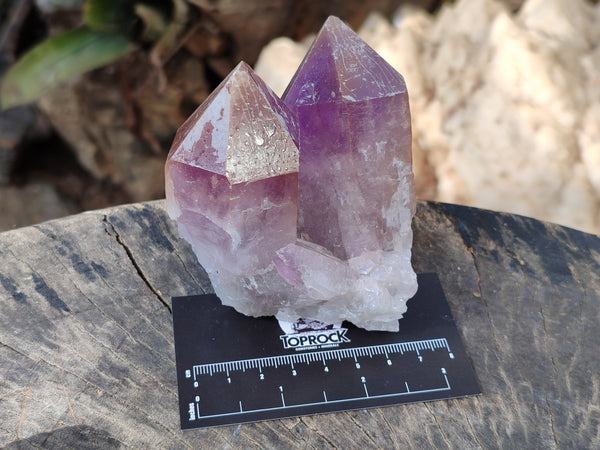 Natural Jacaranda Amethyst Quartz Cluster x 3 From Mumbwa, Zambia