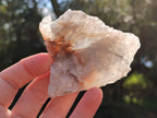 Natural Single Bladed Barite Crystals x 24 From Congo - Toprock Gemstones and Minerals 