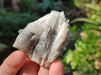 Natural Single Bladed Barite Crystals x 24 From Congo - Toprock Gemstones and Minerals 