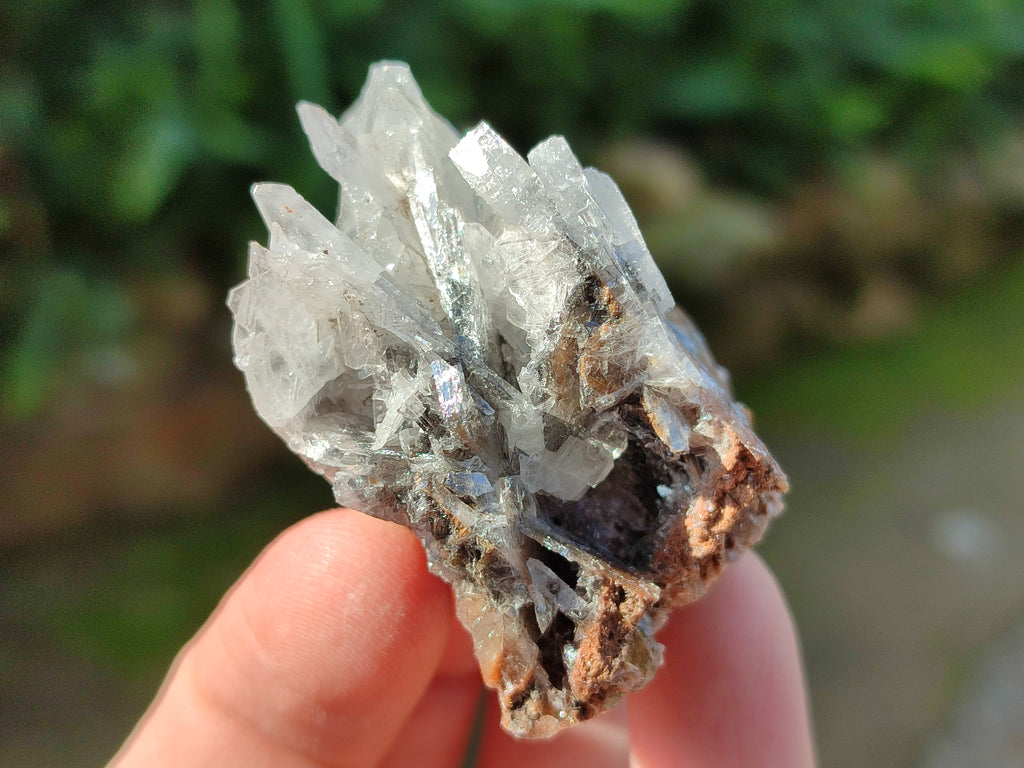 Natural Single Bladed Barite Crystals x 24 From Congo - Toprock Gemstones and Minerals 