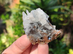 Natural Single Bladed Barite Crystals x 24 From Congo - Toprock Gemstones and Minerals 