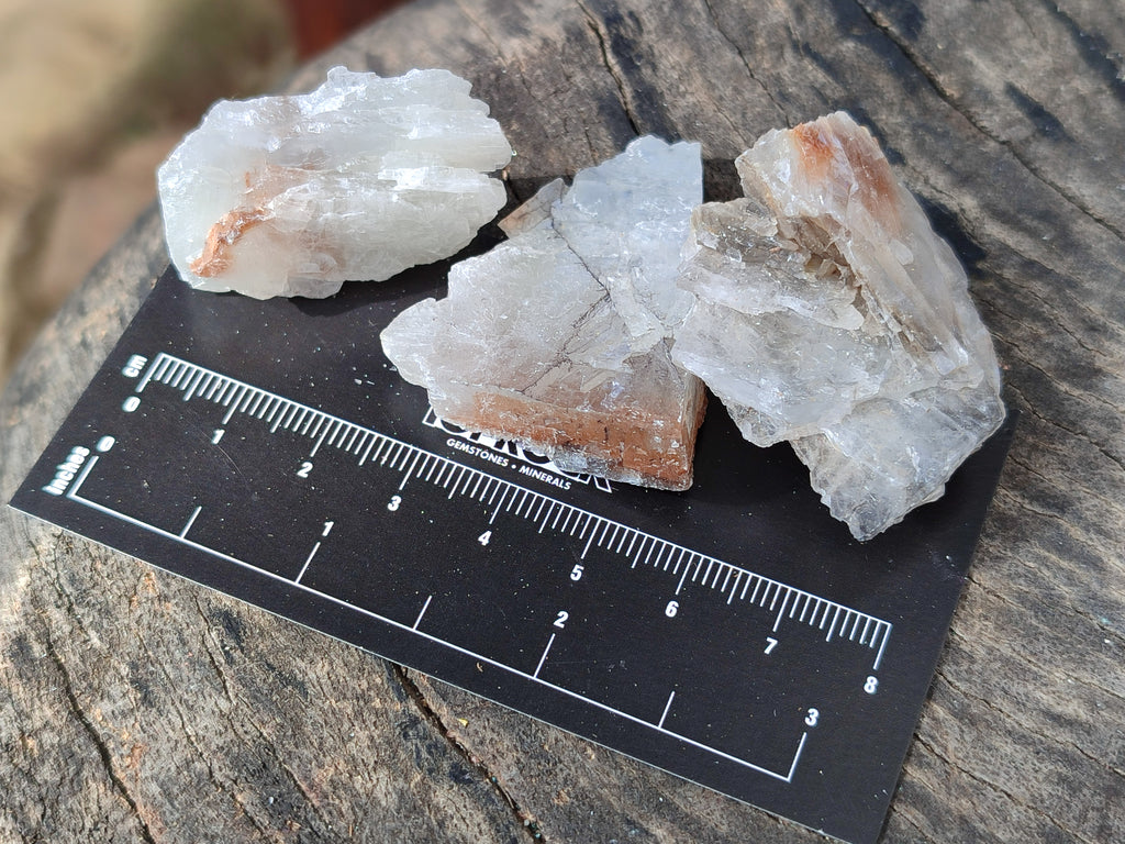 Natural Single Bladed Barite Crystals x 24 From Congo - Toprock Gemstones and Minerals 