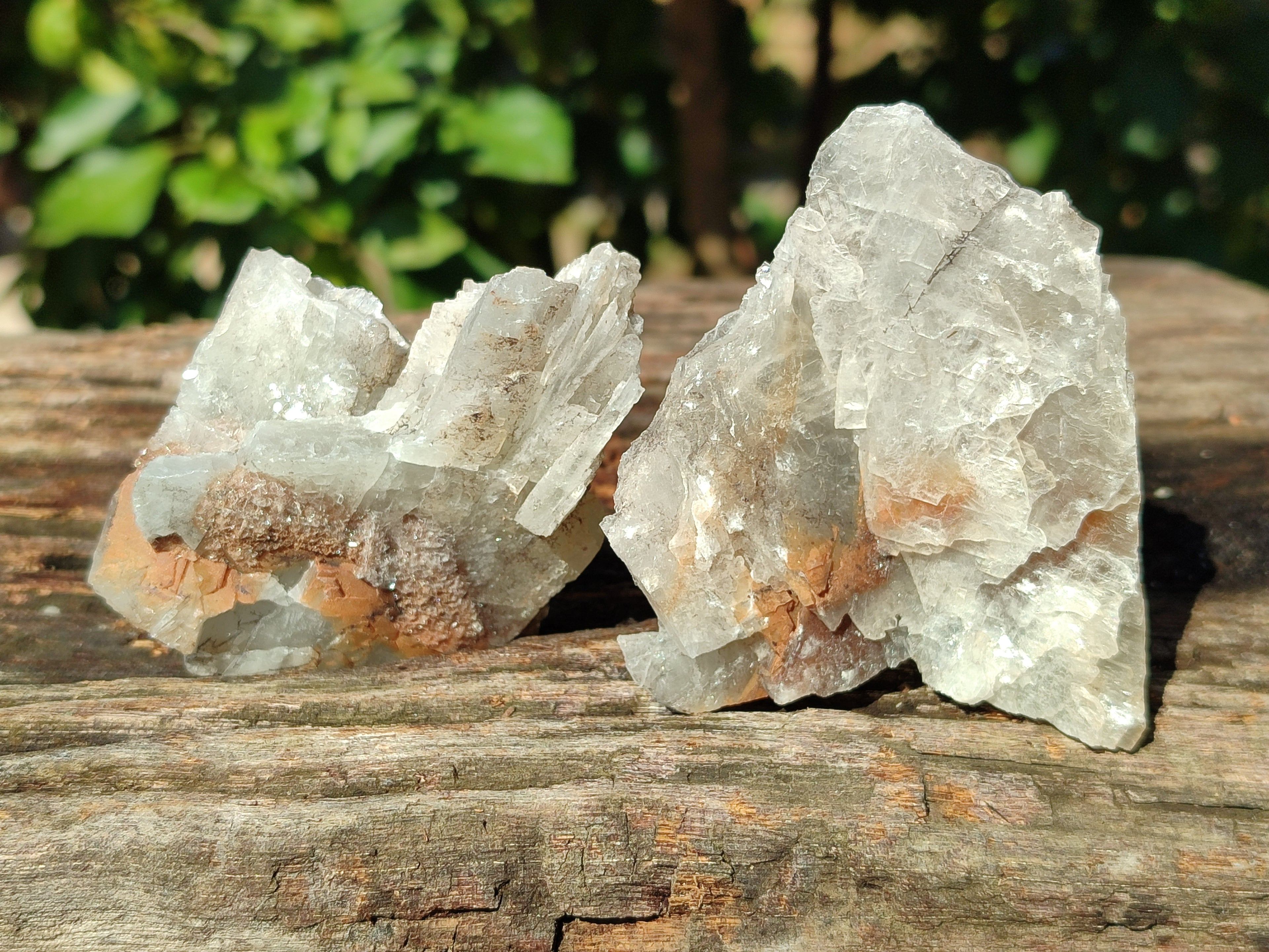 Natural Single Bladed Barite Crystals x 24 From Congo - Toprock Gemstones and Minerals 