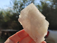 Natural Single Bladed Barite Crystals x 24 From Congo - Toprock Gemstones and Minerals 