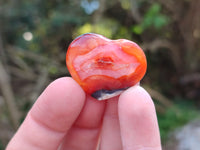 Polished Mini Carnelian Agate "Jewellery" Gemstone Hearts x 20 From Madagascar
