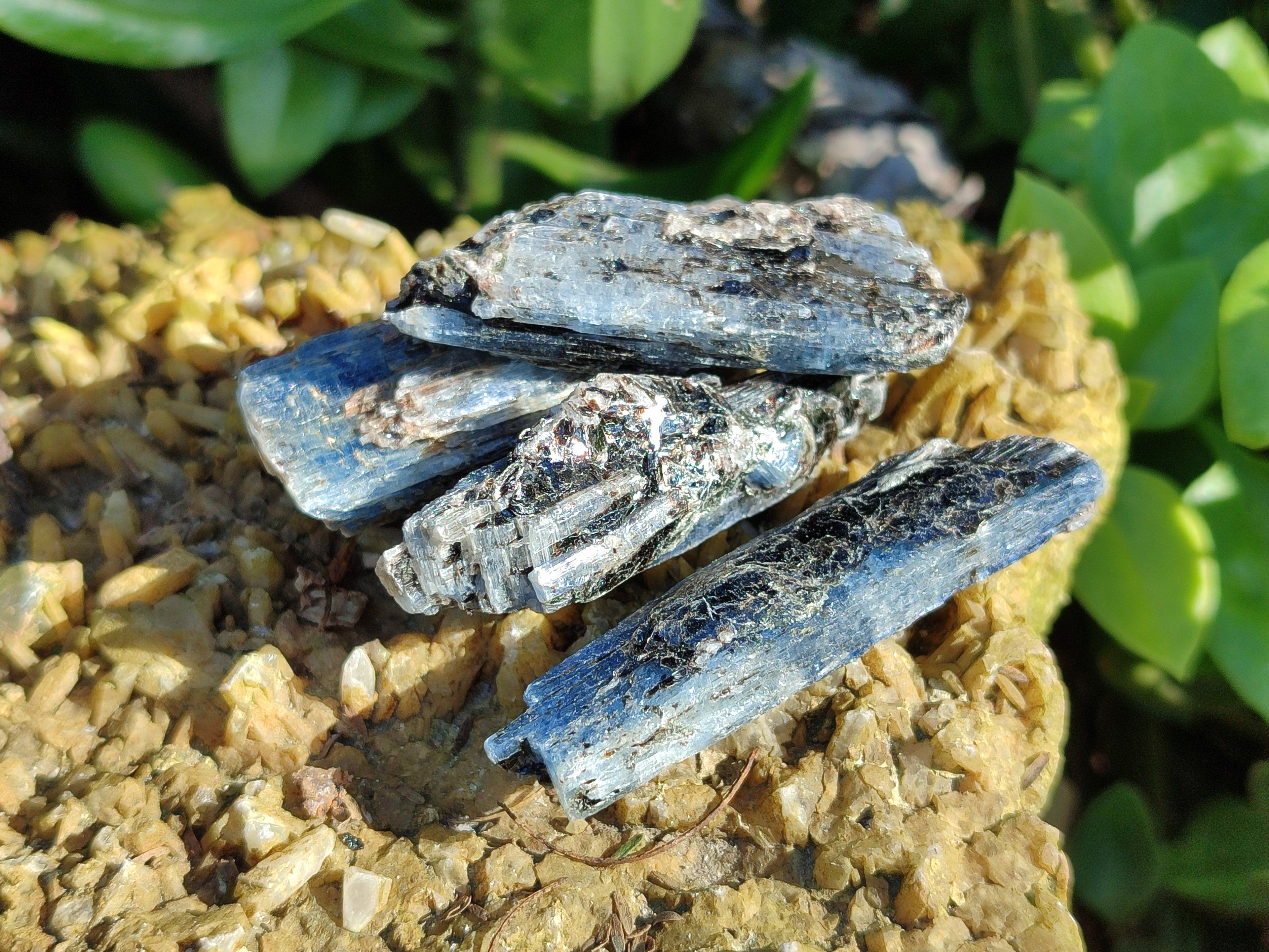 Natural Fluorescent Kyanite Crystals x 2.07 Kg Lot From Karoi, Zimbabwe - Toprock Gemstones and Minerals 