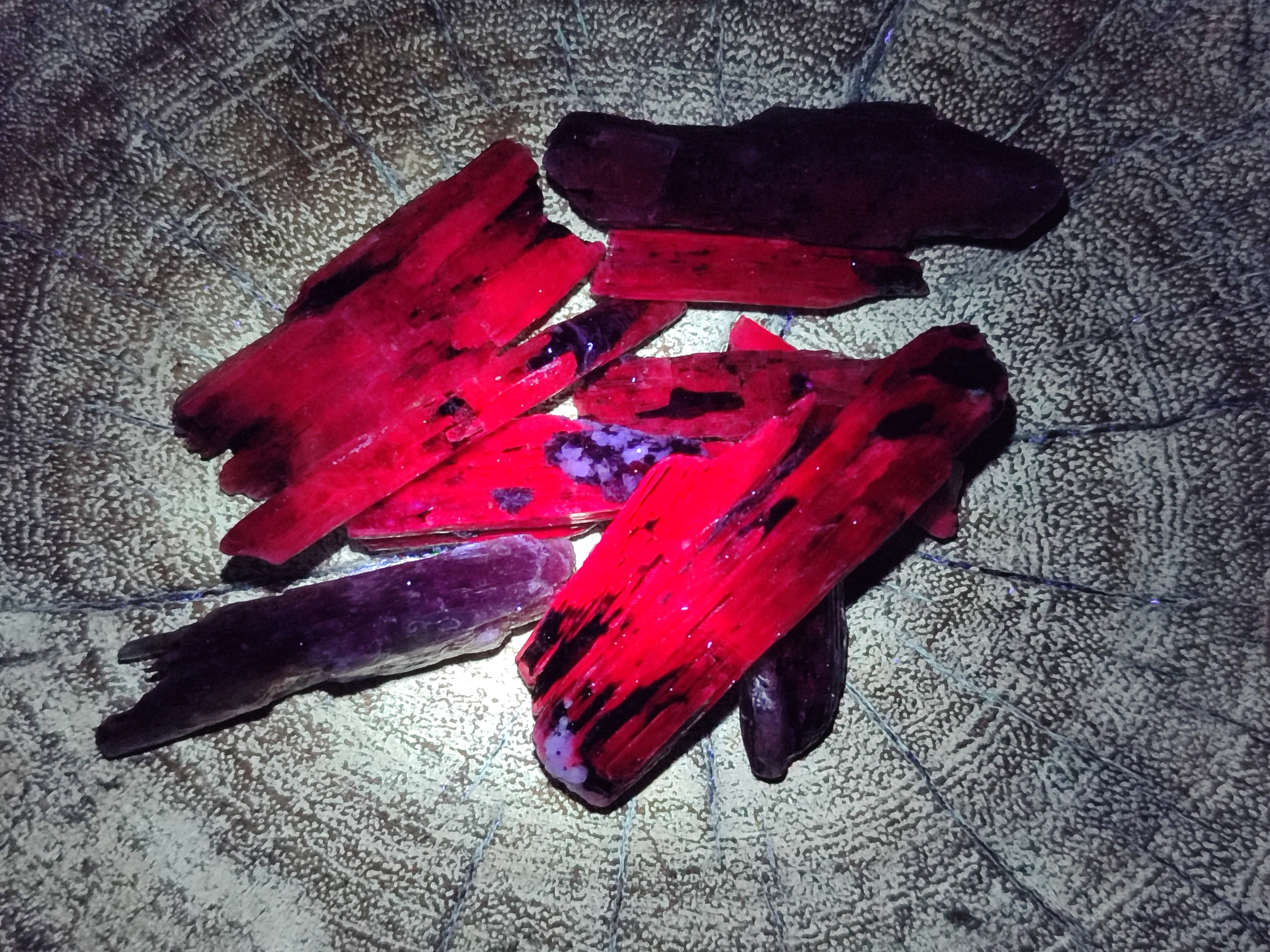 Natural Fluorescent Kyanite Crystals x 2.07 Kg Lot From Karoi, Zimbabwe - Toprock Gemstones and Minerals 